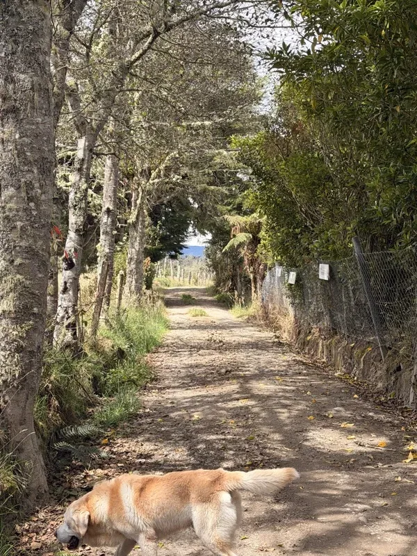 Caída de agua de la cascada de Quillinzayaco